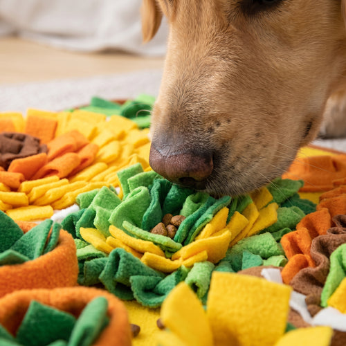 Dog Snuffle Mat – Reduce Boredom & Keep Your Pet Mentally Stimulated