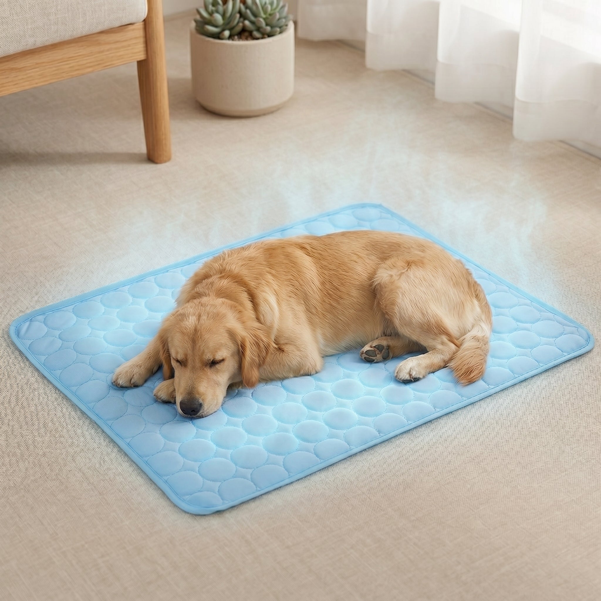 Cooling Pet Mat – Keep Your Dog Cool & Comfortable in Seconds